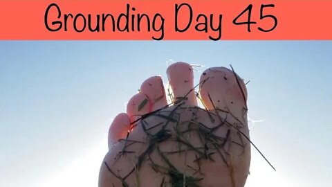 Grounding Day 45 - it’s the little things