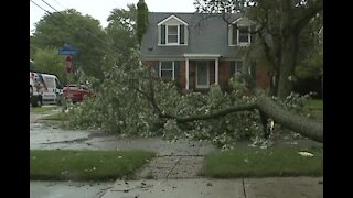 Severe storms cause damage in Berkley