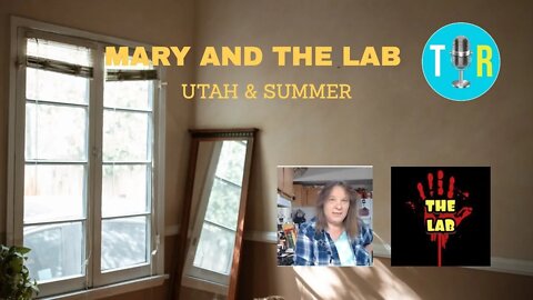 Summer Wells case update with Mary, Don Wells' Step-Sister - The Interview Room with Chris McDonough