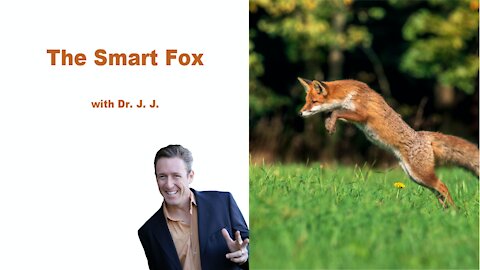 The Smart Fox