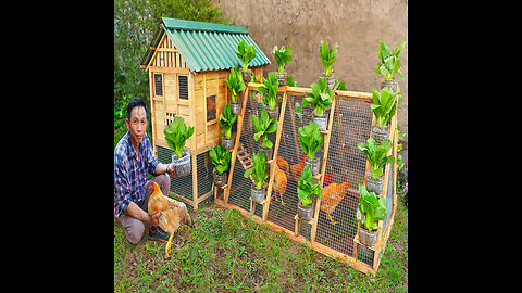 My father DIY 2in1 chicken coop run to raise chicken and grow organic vegetables