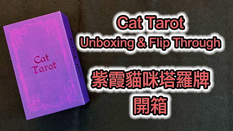 Cat Tarot Unboxing & Flip Through 紫霞貓咪塔羅牌 開箱