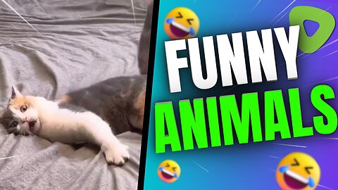 Green Funny Animal Videos  Thumbnail