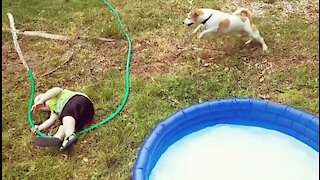 Riendo Bebés Jugando Con Perro y Agua|| Gracioso Bebé y Mascota