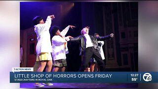 Little Shop of Horrors opens at Stagecrafters in Royal Oak on Friday