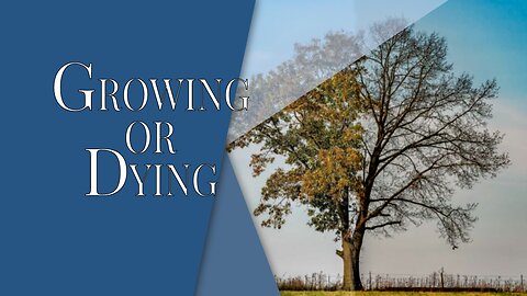 Growing or Dying | The Christian Economist Episode #149