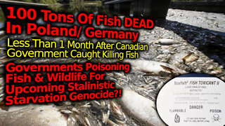 Mass Starvation Prep?! 100 Tons Of Dead Fish In Poland & German, Poisoned Like Canada Govt?!