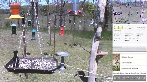 Rural Bird Feeders Live w/ Bird ID and Night Critter Cam