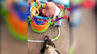 Dog Can't Stop Giving Baby Boy Kisses