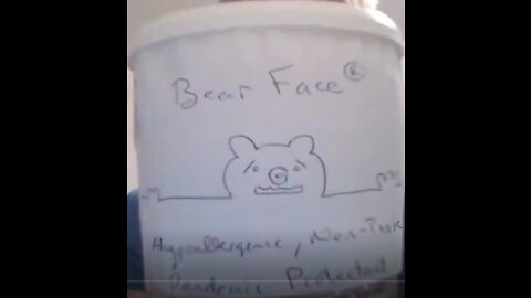 Bear Face Pandemic Protectant
