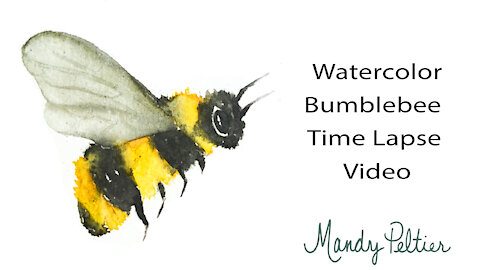 Watercolor Bumblebee Time Lapse Video