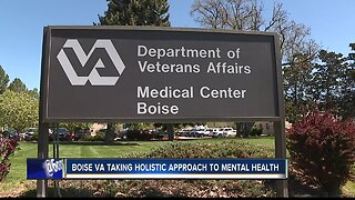 Boise VA taking holistic approach to mental health