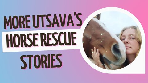 MORE UTSAVA'S HORSE RESCUE STORIES