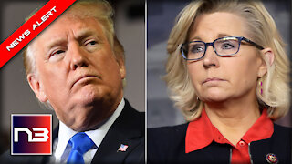 HA! Liz Cheney Just Revealed What’s Next for Her… In Her DREAMS!