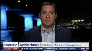 Nunes: Woke utopian communists have their knives out for Elon Musk