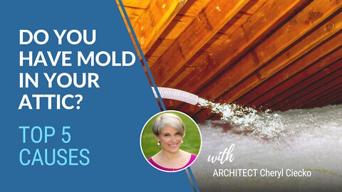 Top 5 Causes of Attic Mold EPISODE 4
