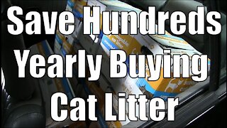 Cat Litter - How I Save Big Money on Yearly Expenses