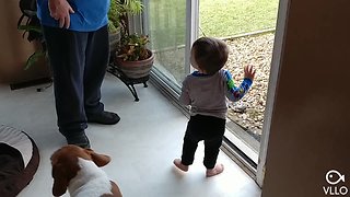 Toddler Loves To Call For His Dog To Come Inside