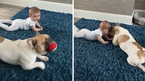 Inspirational pup teaches baby how to crawl