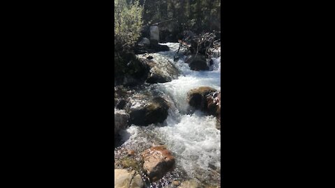 Beautiful Brook in Canadian Rockies