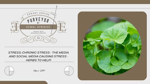 Stress; Chronic Stress - The Media & Social Media's Impact - Herbs to support Stress and Anxiety