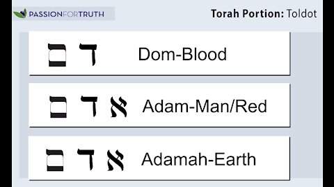 Torah Portion Toldot ─ Passion For Truth Ministries, 2014