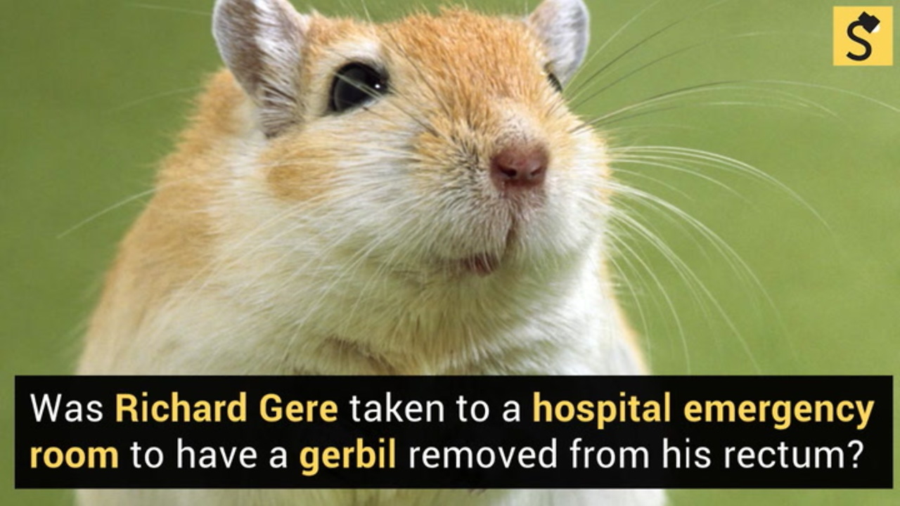 Richard gere gerbil gif