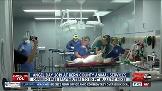2019 Angel Day at Kern County Animal Services