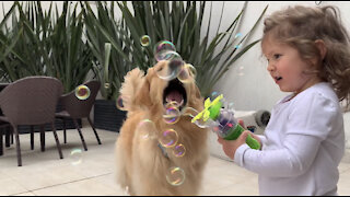 Little girl preciously blows bubbles for doggy to catch