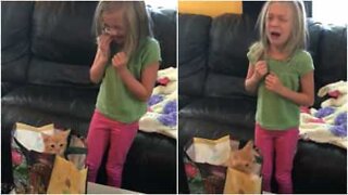 Girl's emotional reaction to getting a kitten for birthday