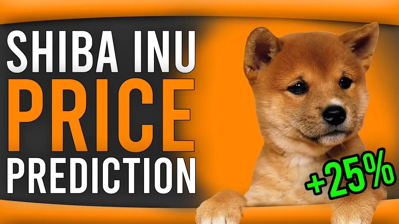 SHIBA INU PRICE PREDICTION LONG TERM