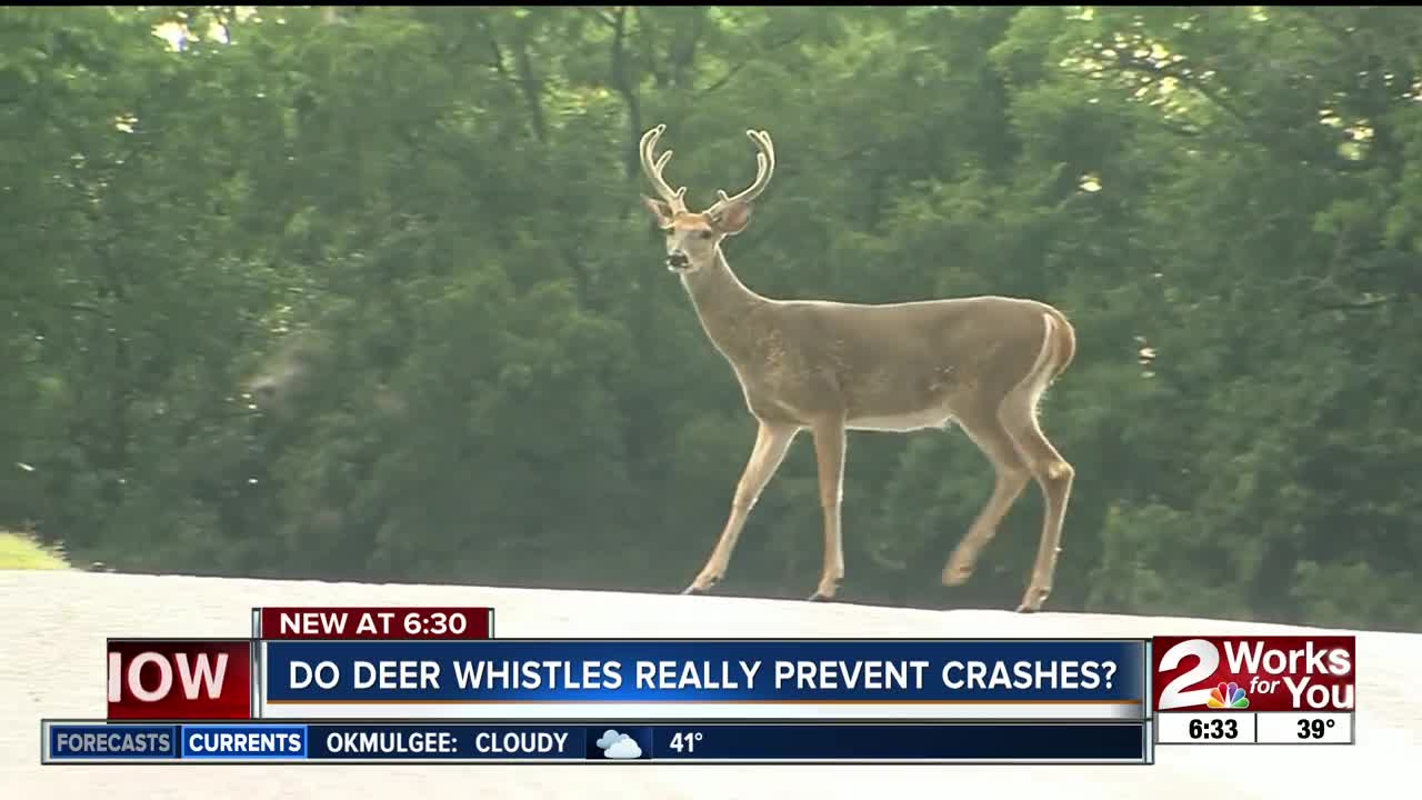 Do deer whistles really prevent crashes?