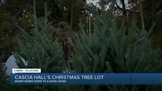 Cascia Hall getting ready for holiday season with Christmas tree fundraiser