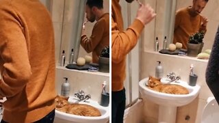 Cat claims sink, forces owner to brush teeth in shower
