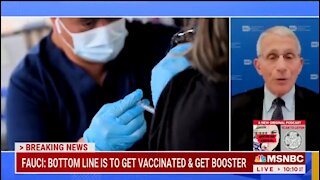 Fauci: You Must Get Vaxxed And Supersede Your Individual Choice