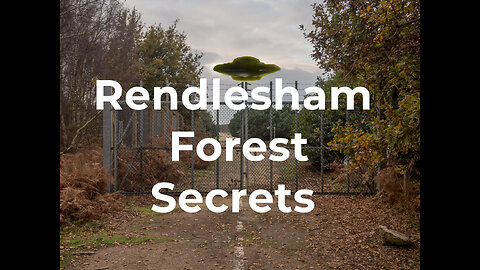 Everything You Wanted to Know About Rendlesham Forest But Were Afraid to Ask