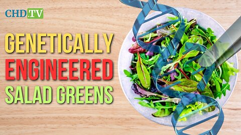 Genetically Engineered Salad Greens Are Entering the Food Supply — and They Won’t Be Labeled