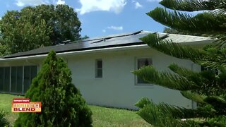 May Electric Solar | Morning Blend