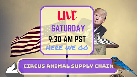 Saturday *LIVE* Circus Animal Supply Chain Edition