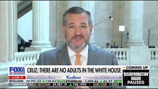 Sen Cruz: Kids Are Running The White House, No Adults In Charge