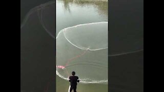 Amazing Fishing Best 🐟 Fishing Video