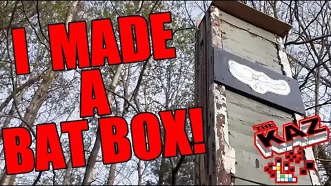 I Made a Bat Box