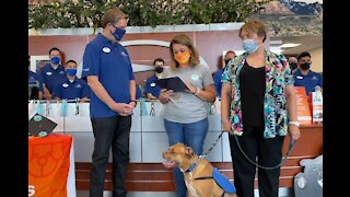 Clark County School District employee receives assistance dog
