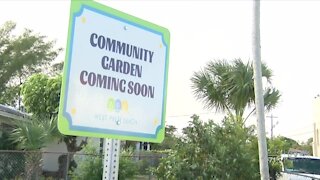 3 urban community gardens coming to West Palm Beach