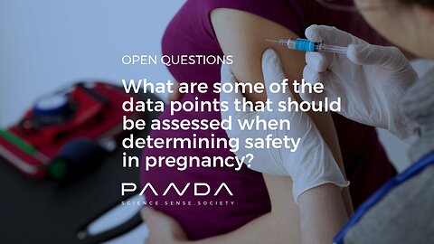 What are some of the data points that should be assessed when determining safety in preganancy?