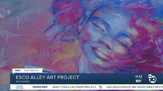 Esco Alley Art Project aims to revitalize downtown Escondido
