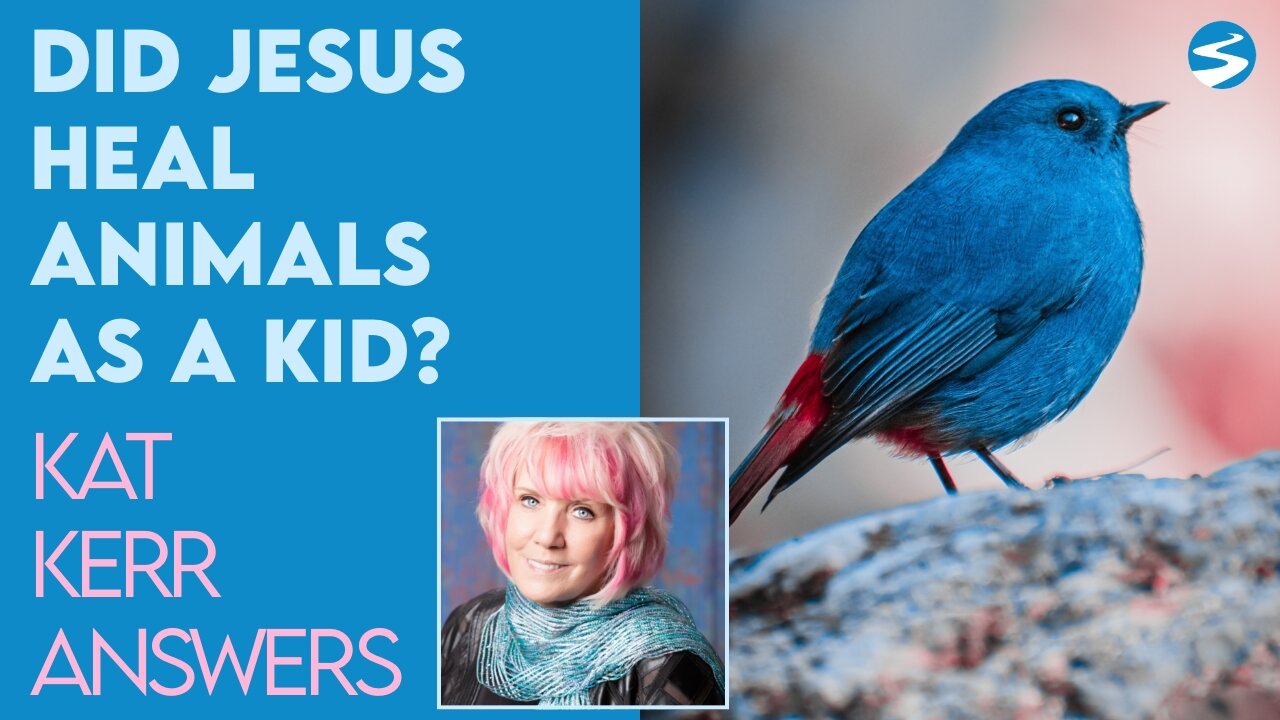 Kat Kerr: Did Jesus Heal Animals As A Kid? 