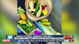 Live Interview: Recovery Services opens Grace Street Garden