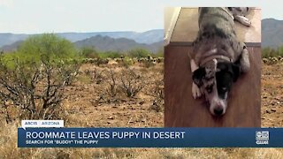 Valley roommate admits to dumping puppy out in the desert