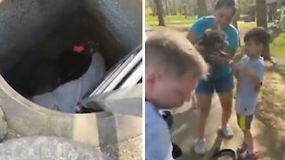 Firefighters & animal control officers rescue puppy from storm drain